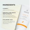 IMAGE Skincare Vital C Hydrating Enzyme Masque 2OZ