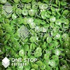 100 Pack - Lime Green Round Plastic Cap Nail 1