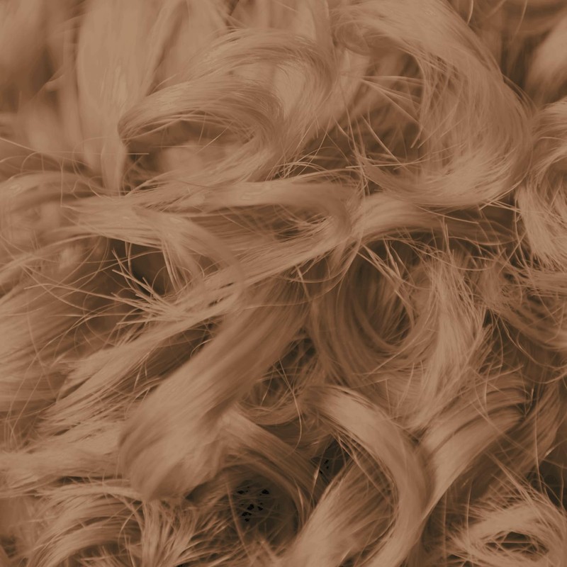 ion 6A Dark Ash Blonde Permanent Liquid Hair Color