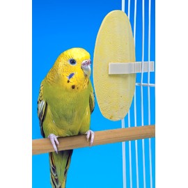 Penn-Plax Bird-Life Flavored E Cuttlebone 6 Pack – Mango & Banana – Enriched with Omega 3 and Vitamin B1 – Great for All Birds