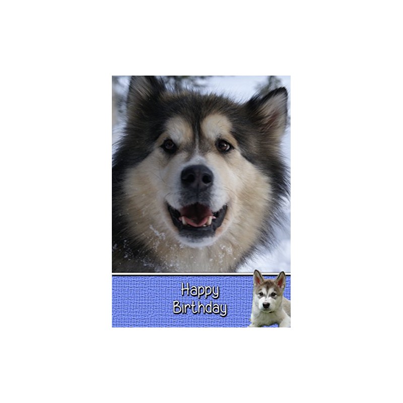Alaskan Malamute Birthday Card