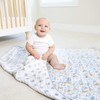 aden + anais essentials 100% Cotton Muslin Dream Blanket for