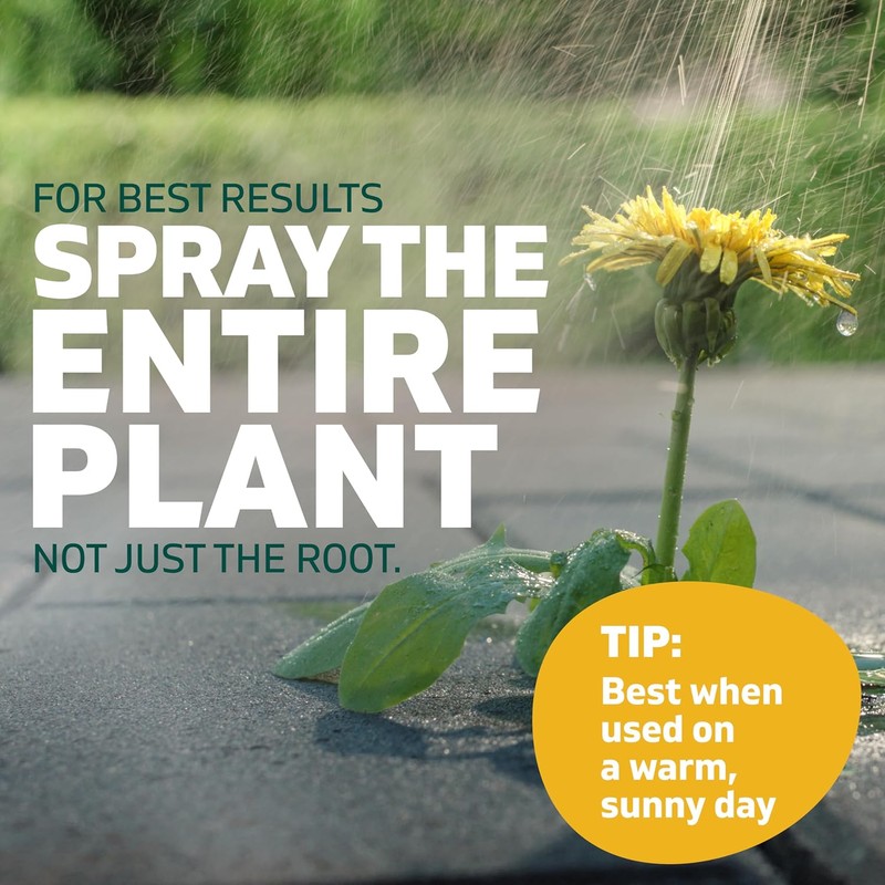 Spruce Weed Killer Spray - Snap & Spray Weed &