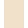 100 Sheets Coloured Printer Paper/Colour Photocopier Paper Colour: Cream