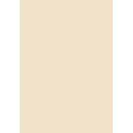100 Sheets Coloured Printer Paper/Colour Photocopier Paper Colour: Cream