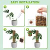 EOX 8 Pcs 15 Inch Plastic Moss Pole for Monstera,