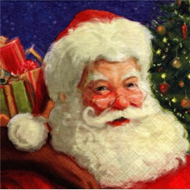 (2) Two Paper Lunch Napkins for Decoupage/Mixe