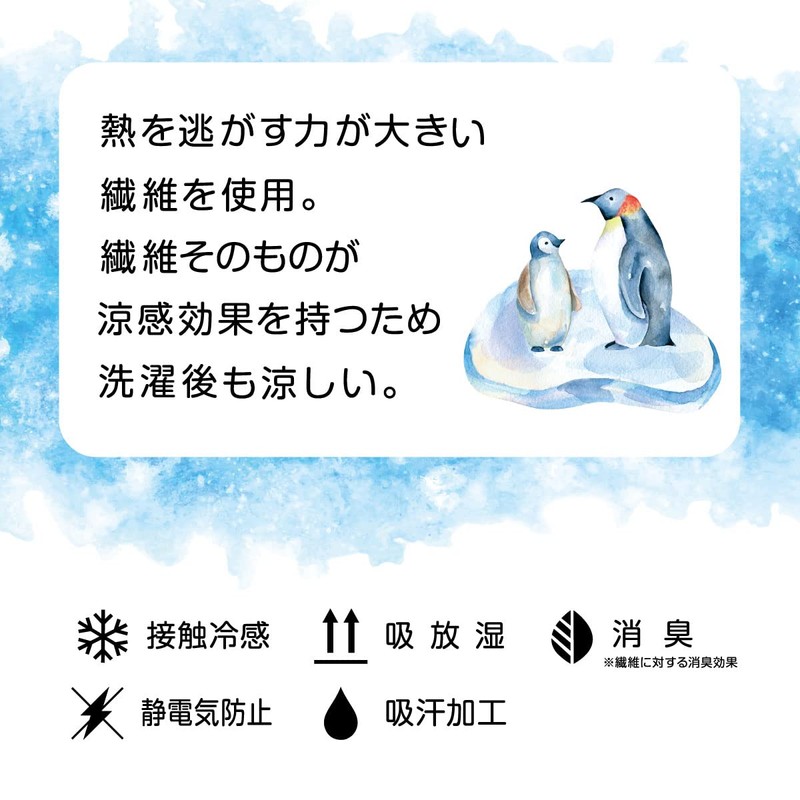 Atsugi FS5013 Women's Socks, Cheri-Beju, Sheri-Veiges