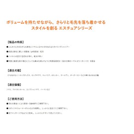 Profem Esture Shampoo & Rinse with Soft Brush (02. Shampoo & Rinse 6.8 fl oz (200 ml), Trimmer, For Salons, Mildly Acid, Hypoallergenic, Quick Drying