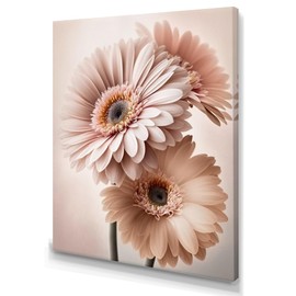 DesignQ Daisy Wall Art, Light Pink Gerbera Daisy Blooms I, gerbera Large Wall art decor, Pink Traditional Canvas wall art, 12x20 inches