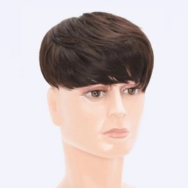 Male Partial Crown Wig Men's Wig (WFL4693) 18x20cmWFL4693 / 남성 부분 정수리 가발 남자가발 (WFL4693) 18x20cmWFL4693