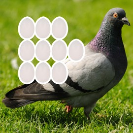 Yibuy lot Solid Plastic Eggs Dummy Eggs For Magician Fake Eggs White Dia 1.02 Pack of 10