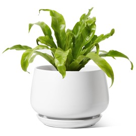 LE TAUCI Ceramic Planters, 10 Inch Pots for Plants, Indoor Plant Pots with Drainage Holes and Saucers, Modern Planters Fit Mid Century Plant Stand, Flower Pots for Indoor Plants, White