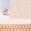 JUNG SAEM MOOL Pro-lasting Flawless Fit Mesh Cushion 14g, Shade:21