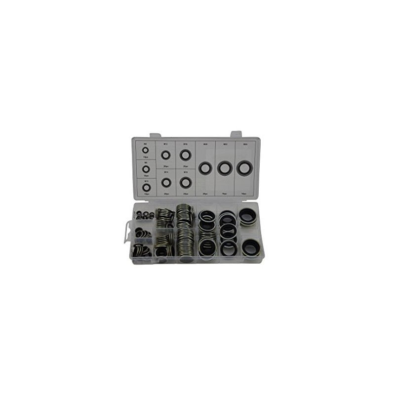Hydraulic Sealing Rings with Rubber Lip, 150-Piece Sealing Rings Assortment
