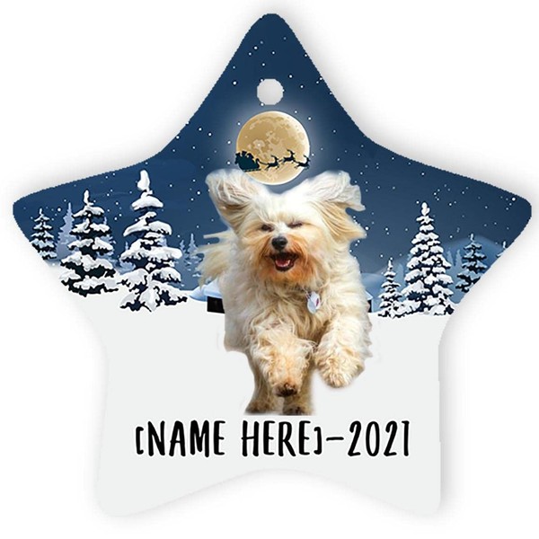 Running Havanese Dog Ornaments for 2024 Christmas Tree Personalized Name