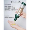 Zingiber officinale juice bright hair shampoo & conditioner( dầu gừng
