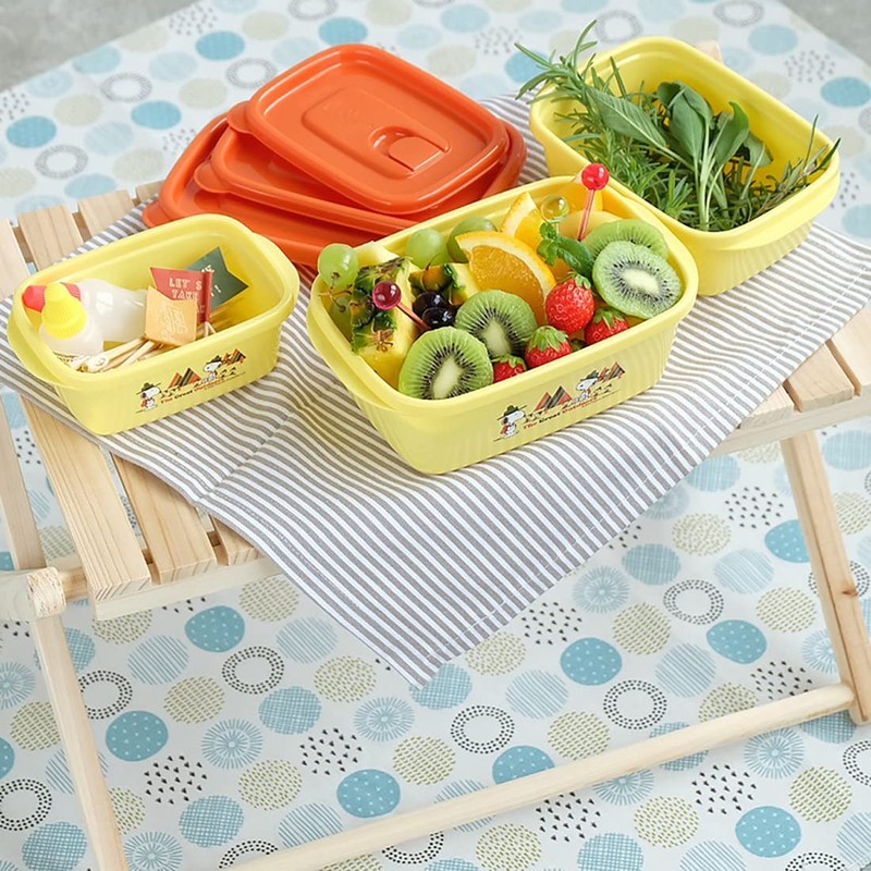 Iwasaki Industry Snoopy Storage Container with Flap 940 (Set of