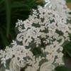 G-RUI 2yard Luxury Beaded Embroidery lace Appliques for Wedding Dresses