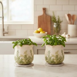 Xiaan Jiaju Diatomaceous Earth Plant Saucer, 2 Pack 6 Inch Drip Trays for Planters & Vase, Water Absorbent Stone Tray to Keeping Tabletop & Counter Dry and Cleaning, House Decor Gifts