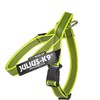 Julius-K9 Colour & Grey Webbing Harness