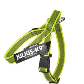 Julius-K9 Colour & Grey Webbing Harness
