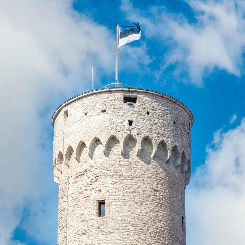 Runesol Estonia Flag, 91x152cm, 3ftx5ft,4 Grommets, Eyelet In Every Corner,