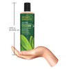 DESERT ESSENCE Tea Tree Replenishing Shampoo 12.9 fl oz