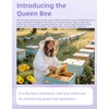 RyanDesign 6-Pack Plastic Queen Bee Cage – Reusable ABS Beekeeping