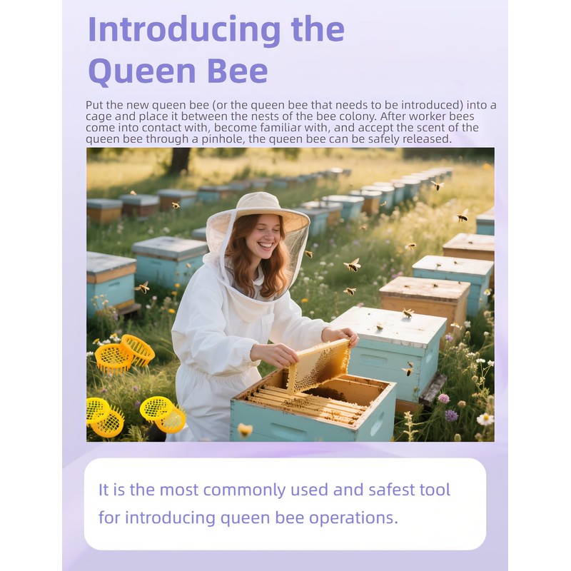 RyanDesign 6-Pack Plastic Queen Bee Cage – Reusable ABS Beekeeping