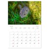 Little rodent - mouse (Monthly Wall Calendar 2025 11.7" x