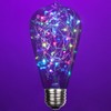 Wintergreen Lighting LEDimagine Fairy String Light Bulb Fairy Lights, LED