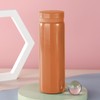 Small Thermos Flasks Stainless Steel - Cute Water Bottle, Vacuum