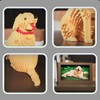 HONLANCH Animal Dog Series Golden Retriever Micro Building Blocks Set(2929PCS)