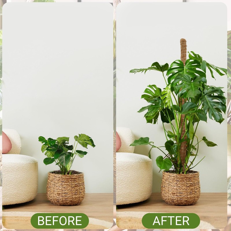 30 Inch Moss Pole, 2 Pack Bendable Moss Pole for