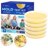 Thbro Mold Test Kit for Home Air: DIY Mold Detector