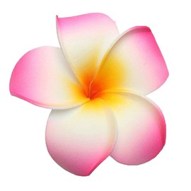 Pack of 10 7 cm Colourful Woman Hawaii Flowers Hair Clip Hair Accessories for Party Beach Bride