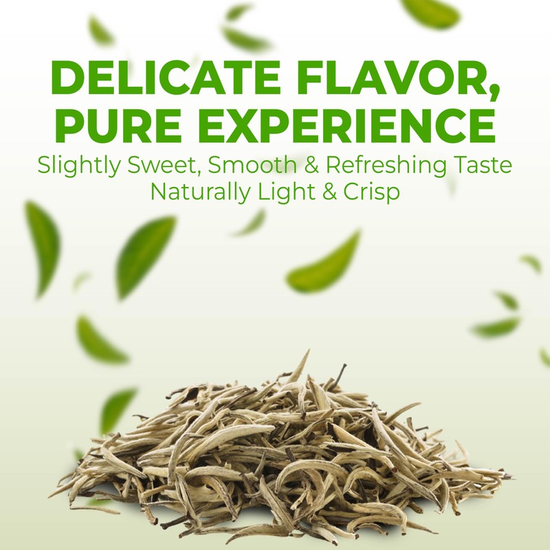 Fusion Select 100% Organic White Tea - Natural Herbal Infusion