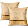 Set of 2 Throw Pillow Covers for Bed Couch Sofa