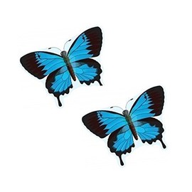 Gayla Industries 843 Blue Swallowtail Butterfly Wildlife Wing Flapper Kite-55 Wingspan (Set of 2 Kites)