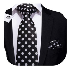 Hi-Tie Silk Ties for Men Plaid Paisley Striped Necktie Pocket Square Cufflinks Set Formal Business,Black Silver Dots