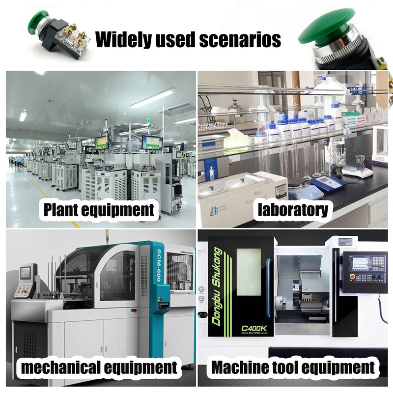 AC 250V 6A 1NO 1NC DPST Momentary Mushroom Head Push