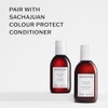 SACHAJUAN Colour Protect Shampoo, 8.4 fl. oz.
