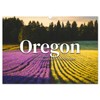 Oregon - Amerikas wunderschöne Westküste (Wandkalender 2026 DIN A3 quer),