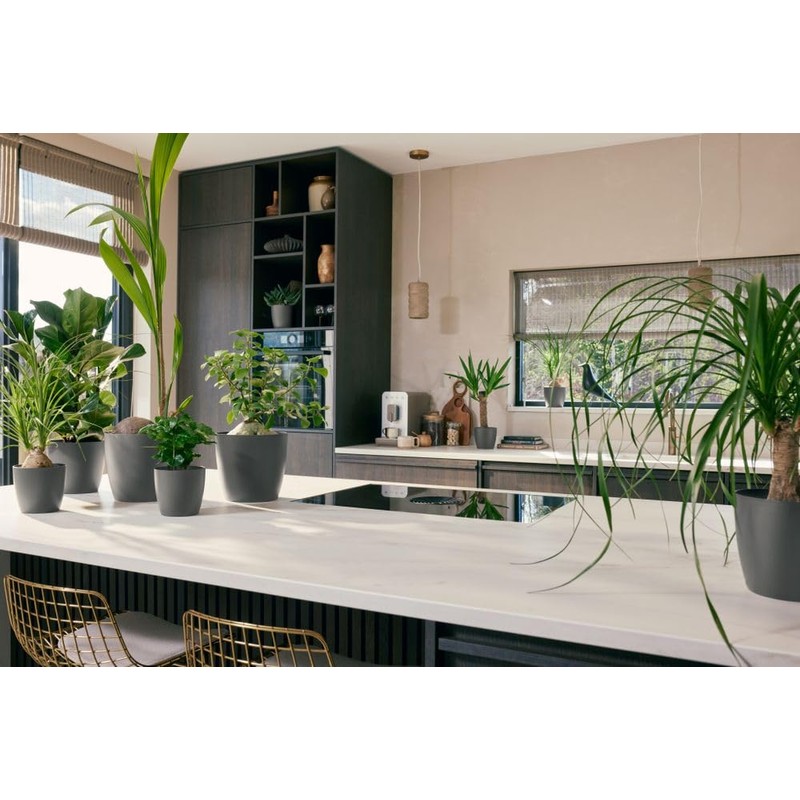 elho The Coffee Collection Round 22 cm - Indoor Flower