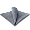 SHLAX&WING Grey Blue Dots Mens Pocket Square Silk Large Hanky
