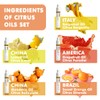 Citrus Essential Oil Set for Diffuser, Natural Fruity Fragrance Blends