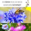 Cornflower seeds (Centaurea cyanus) - beautifully bright flowers with long