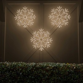 Wintergreen Lighting 24" LED Snowflake Light Christmas Decorations Outdoor Snowflake Christmas Lights, Christmas Snowflake, LED Rope Light (40 Point Snowflake, Warm White LED)