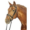 Hkm 10892400 Reittrense – Jana, L, braun